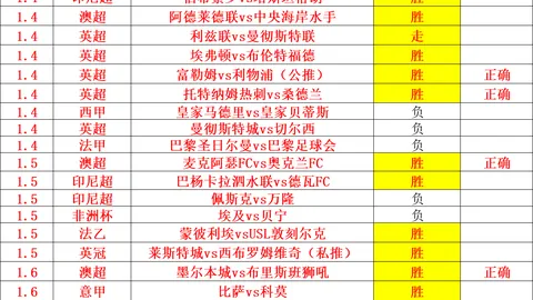 【激情午夜场】德乙再燃激情，黄金赛事夜，深度解析德系烽火！