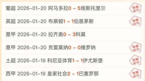 沧州雄狮与上海申花战成平手，敦比亚破门奥斯卡头球救主